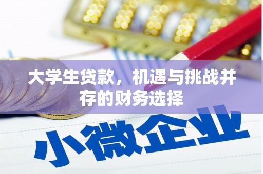 自贡大学生贷款，机遇与挑战并存的财务选择