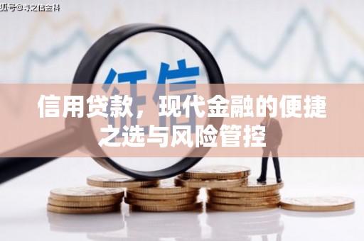 自贡信用贷款，现代金融的便捷之选与风险管控