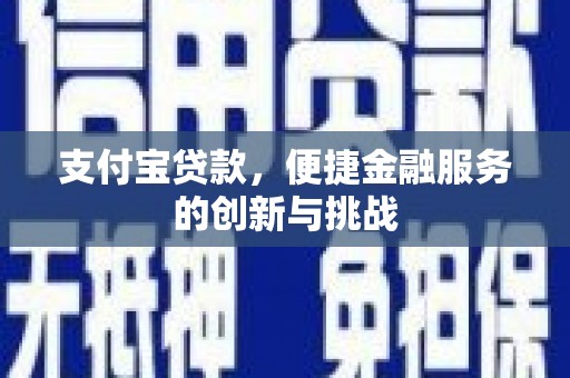 自贡支付宝贷款，便捷金融服务的创新与挑战