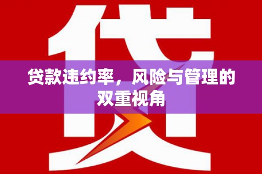 自贡贷款违约率，风险与管理的双重视角