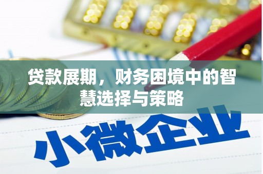 自贡贷款展期，财务困境中的智慧选择与策略
