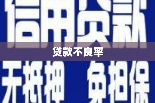 自贡贷款不良率