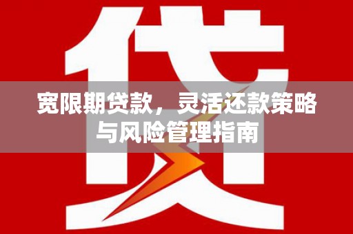自贡宽限期贷款，灵活还款策略与风险管理指南