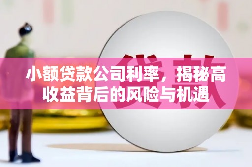 自贡小额贷款公司利率，揭秘高收益背后的风险与机遇