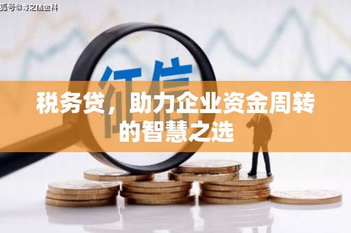 自贡税务贷，助力企业资金周转的智慧之选