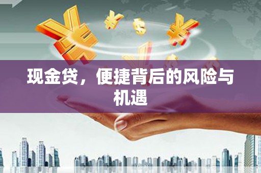 自贡现金贷，便捷背后的风险与机遇
