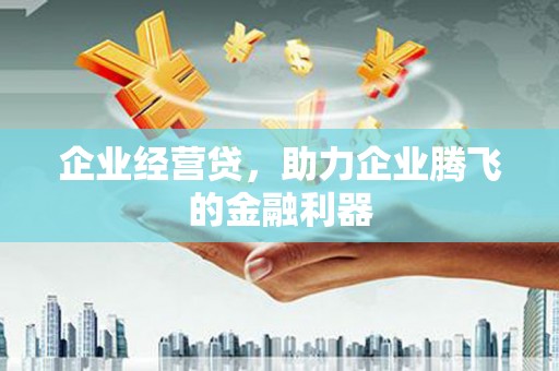 自贡企业经营贷，助力企业腾飞的金融利器