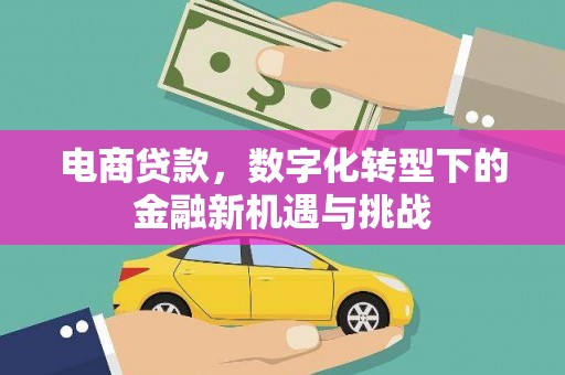 自贡电商贷款，数字化转型下的金融新机遇与挑战