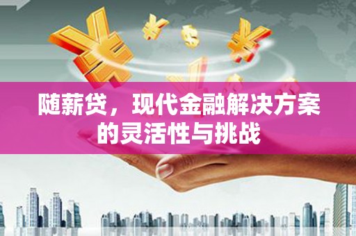 自贡随薪贷，现代金融解决方案的灵活性与挑战