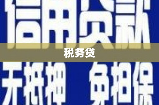 自贡税务贷