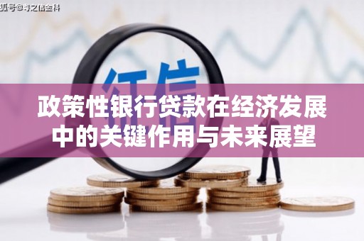 自贡政策性银行贷款在经济发展中的关键作用与未来展望