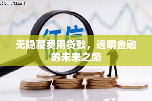自贡无隐藏费用贷款，透明金融的未来之路