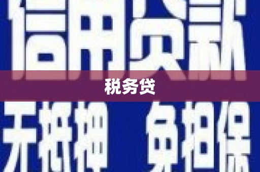 自贡税务贷
