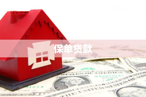 自贡保单贷款