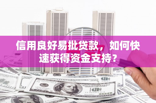 自贡信用良好易批贷款，如何快速获得资金支持？