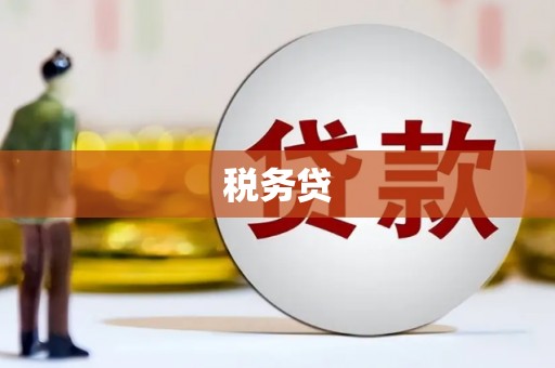 自贡税务贷