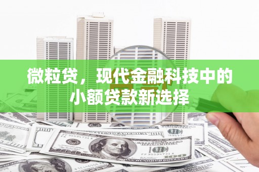 自贡微粒贷，现代金融科技中的小额贷款新选择