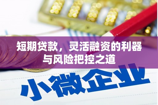 自贡短期贷款，灵活融资的利器与风险把控之道