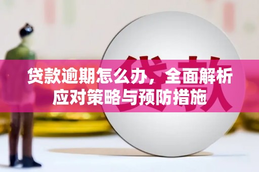 自贡贷款逾期怎么办，全面解析应对策略与预防措施