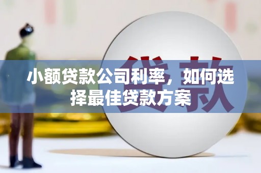 自贡小额贷款公司利率，如何选择最佳贷款方案