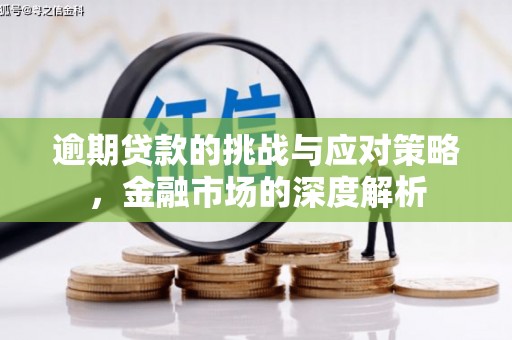 自贡逾期贷款的挑战与应对策略，金融市场的深度解析