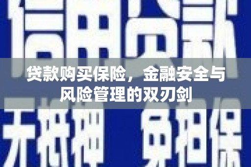 自贡贷款购买保险，金融安全与风险管理的双刃剑