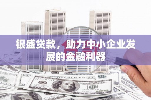 自贡银盛贷款，助力中小企业发展的金融利器