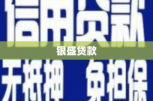 自贡银盛贷款