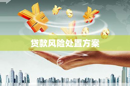 自贡贷款风险处置方案
