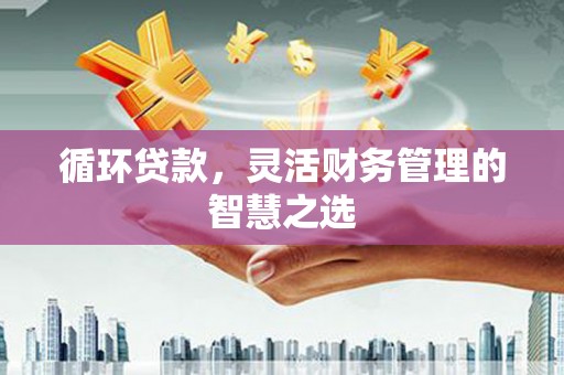 自贡循环贷款，灵活财务管理的智慧之选