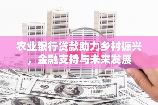 自贡农业银行贷款助力乡村振兴，金融支持与未来发展