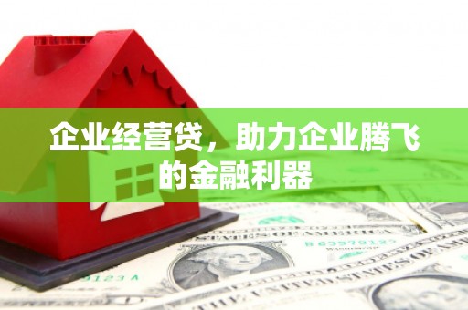 自贡企业经营贷，助力企业腾飞的金融利器