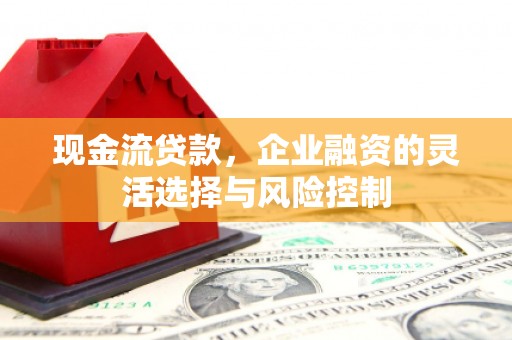 自贡现金流贷款，企业融资的灵活选择与风险控制