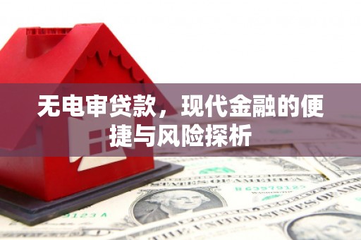 自贡无电审贷款，现代金融的便捷与风险探析