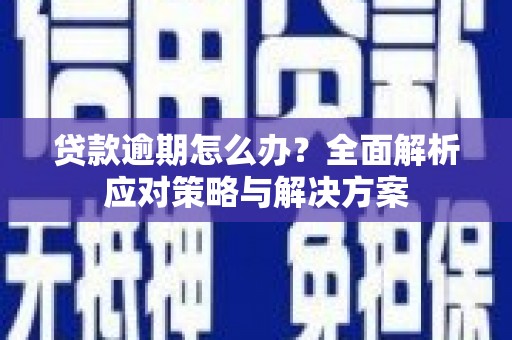 自贡贷款逾期怎么办？全面解析应对策略与解决方案