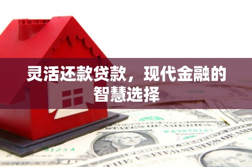 自贡灵活还款贷款，现代金融的智慧选择