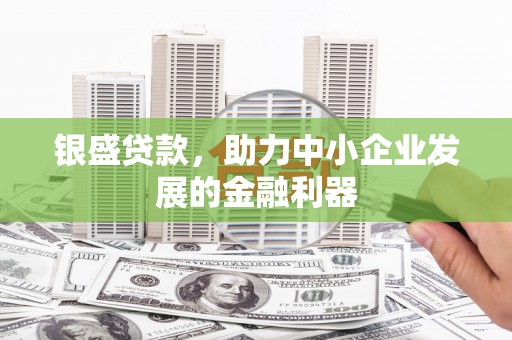 自贡银盛贷款，助力中小企业发展的金融利器