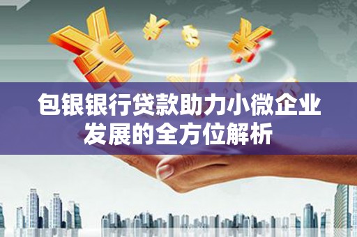 自贡包银银行贷款助力小微企业发展的全方位解析 自贡包银银行贷款助力小微企业发展的全方位解析