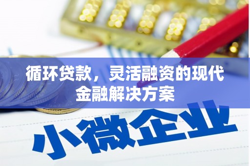 自贡循环贷款，灵活融资的现代金融解决方案