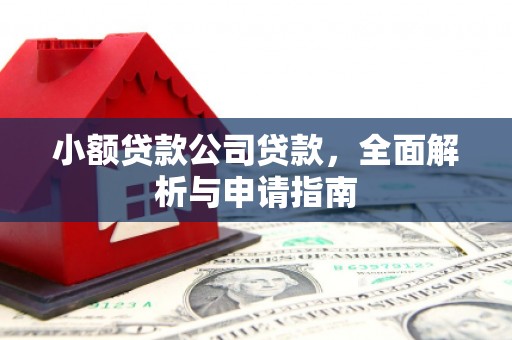 自贡小额贷款公司贷款，全面解析与申请指南