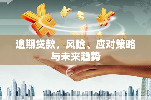自贡逾期贷款，风险、应对策略与未来趋势