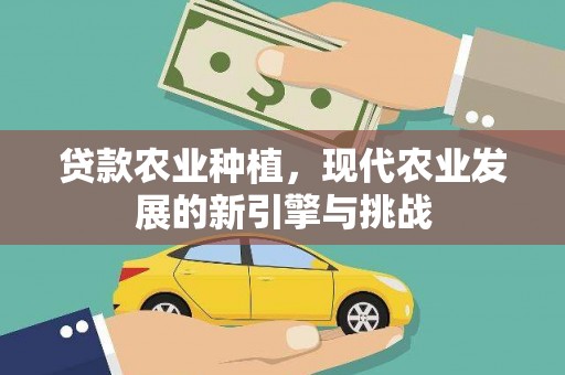 自贡贷款农业种植，现代农业发展的新引擎与挑战