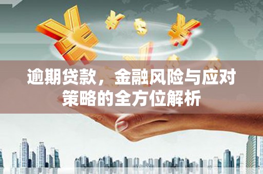 自贡逾期贷款，金融风险与应对策略的全方位解析
