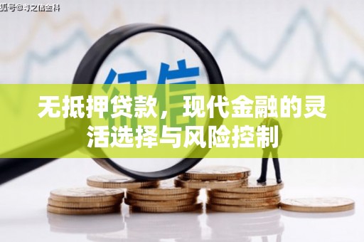 自贡无抵押贷款，现代金融的灵活选择与风险控制