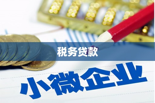 自贡税务贷款
