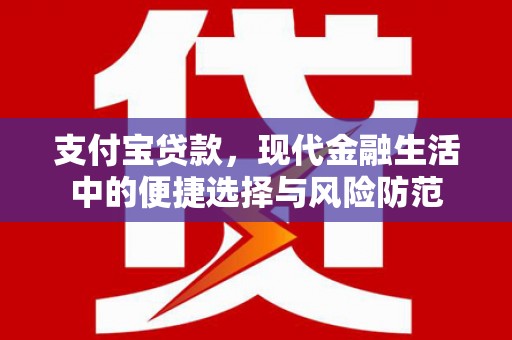 自贡支付宝贷款，现代金融生活中的便捷选择与风险防范