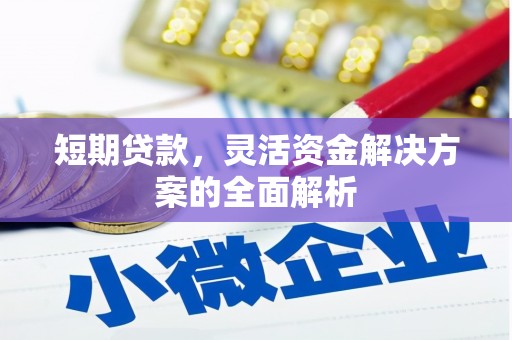 自贡短期贷款，灵活资金解决方案的全面解析