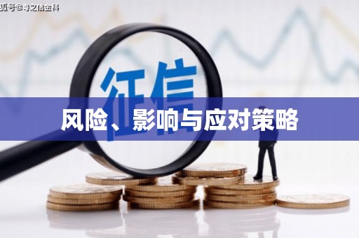 自贡风险、影响与应对策略