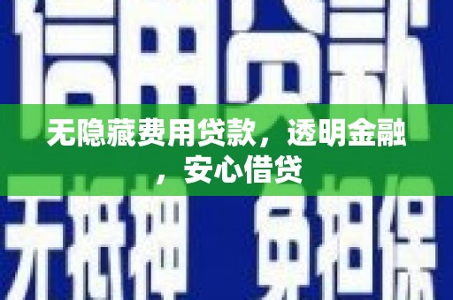 自贡无隐藏费用贷款，透明金融，安心借贷