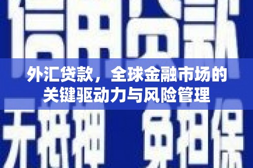 自贡外汇贷款，全球金融市场的关键驱动力与风险管理
